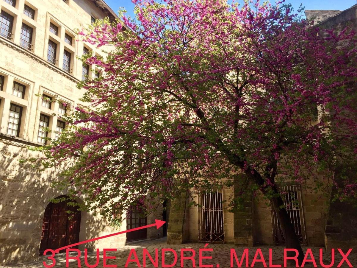 Appartement A 50 M De La Place Aux Herbes Uzès Eksteriør billede