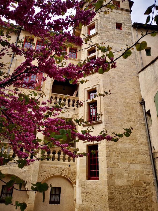 Appartement A 50 M De La Place Aux Herbes Uzès Eksteriør billede